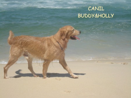 BUDDY NA PRAIA